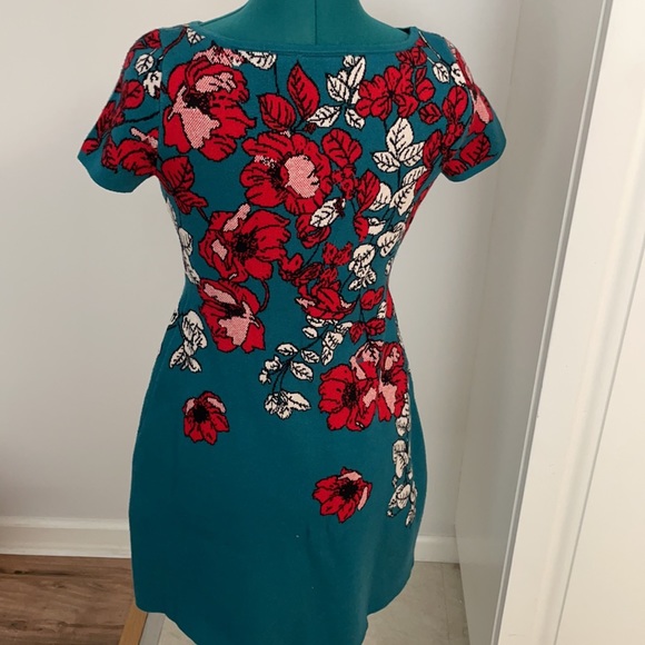 Anthropology petites - Picture 2 of 3